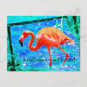 Funky pink Florida flamingo Reise Postkarte
