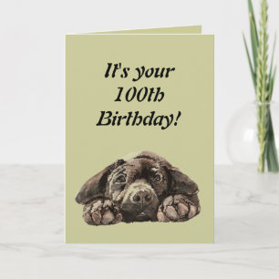Funny 100. Geburtstag Customize Labrador Retriever Karte