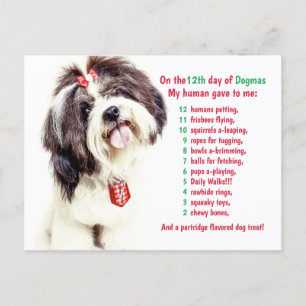 Funny 12 Days of Christmas Dogmas Feiertagspostkarte