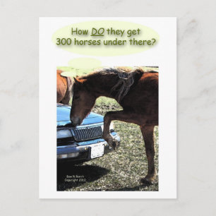 Funny 300 Pferdewagen Postkarte