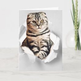 Funny 3d Grafik Cat zerrissen Papier Illusion Karte