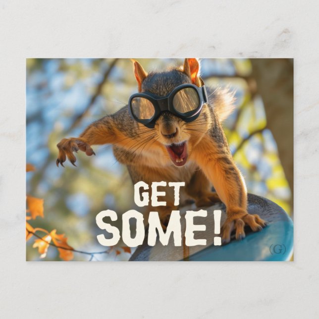 Funny Action Eichhörnchen Postcard "Get some" Postkarte (Vorderseite)