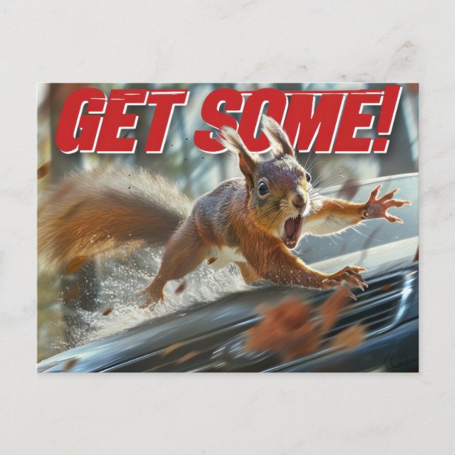 Funny Action Eichhörnchen Postcard "Get some" Postkarte (Vorderseite)