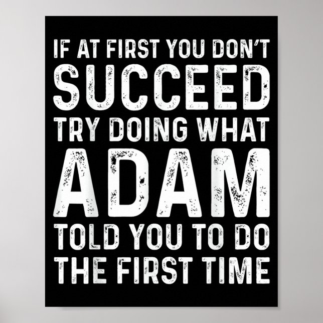 Funny Adam If At First You Don't Succeed Try Doing Poster (Vorne)
