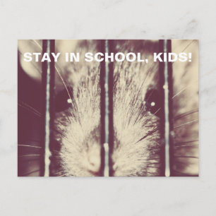 Funny Adorable Rat im Gefängnis Postkarte