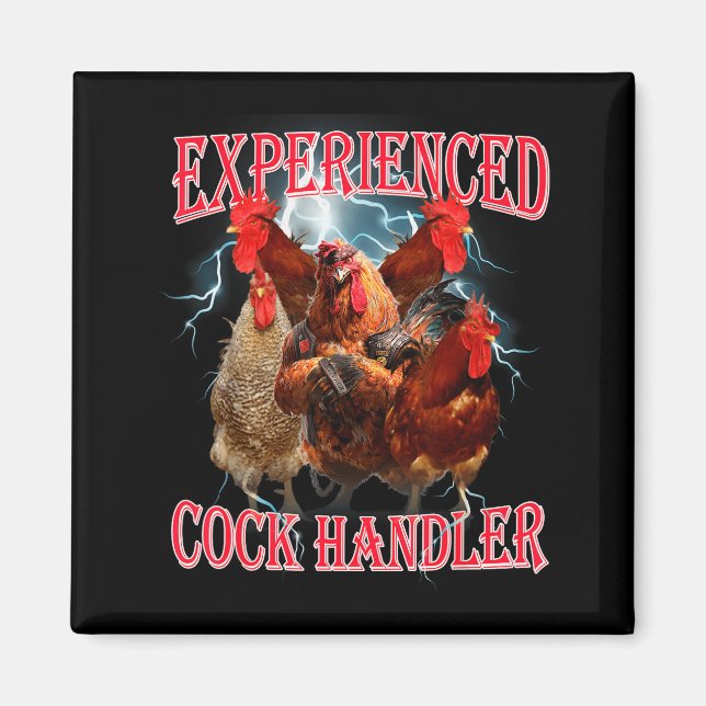 Funny Adult Humor Experienced Handler Inappropriat Magnet (Vorne)