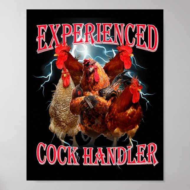 Funny Adult Humor Experienced Handler Inappropriat Poster (Vorne)