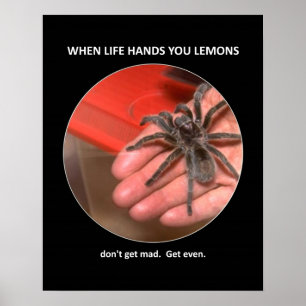 Funny Advice bekommt keine Mad und bekommt sogar Poster