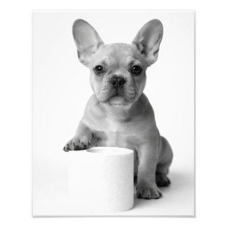 Funny Aesthetic French Bulldog Toilet Paper Photo Fotodruck