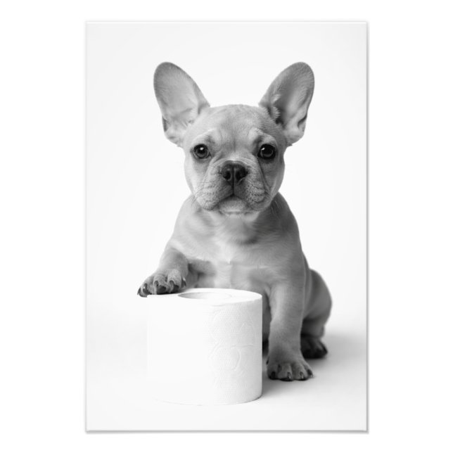 Funny Aesthetic French Bulldog Toilet Paper Photo Fotodruck (Vorne)