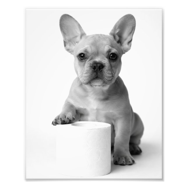 Funny Aesthetic French Bulldog Toilet Paper Photo Fotodruck (Vorne)