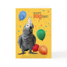 Funny African Gray Parrot Birthday Spaß