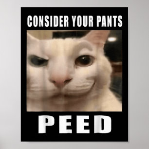 Funny Albern Cat Memes By 919 Designs berücksichti Poster