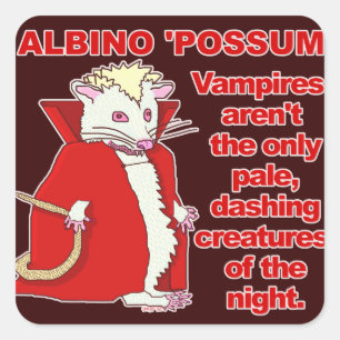 Funny Albino Possum Vampire Animal Quadratischer Aufkleber