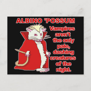 Funny Albino Possum Vampire Postkarte
