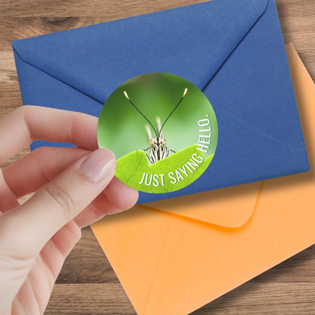 Funny All-Occasion Animal Butterfly Sticker (A cute grasshopper goes with just about any occasion when you might send a card to a friend. )