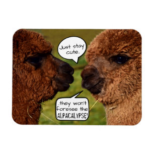 Funny Alpaca Alpacalypse Magnet