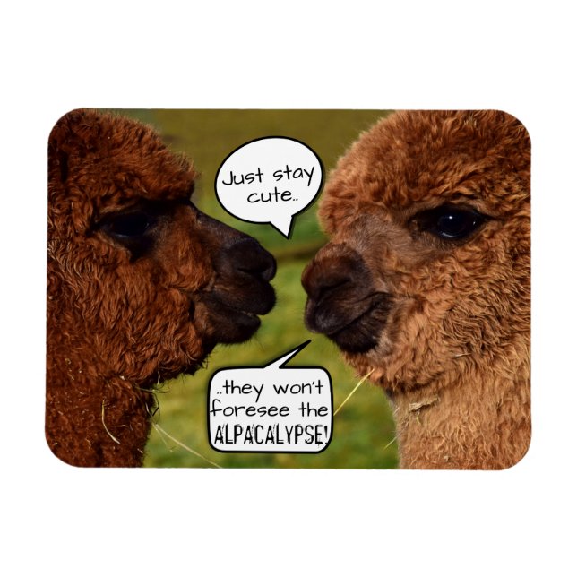 Funny Alpaca Alpacalypse Magnet (Horizontal)