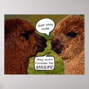 Funny Alpaca Alpacalypse Poster