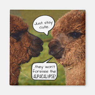 Funny Alpaca Alpacalypse Schemata Magnet