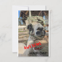 Funny Alpaca Card, Jeglicher Anlass Dankeschön Car
