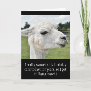 Funny Alpaca Llama Birthday Karte