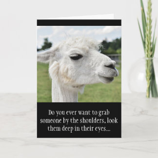 Funny Alpaca Llama Foto mit Jokes Karte