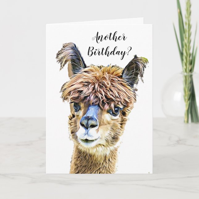 Funny Alpaca Llama Spaß Geburtstag Karte (Vorderseite)