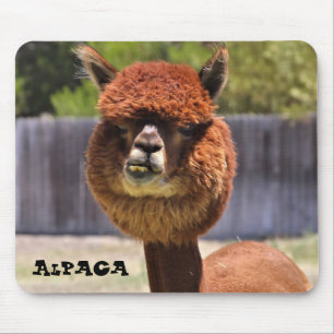 Funny Alpaca Mousepad