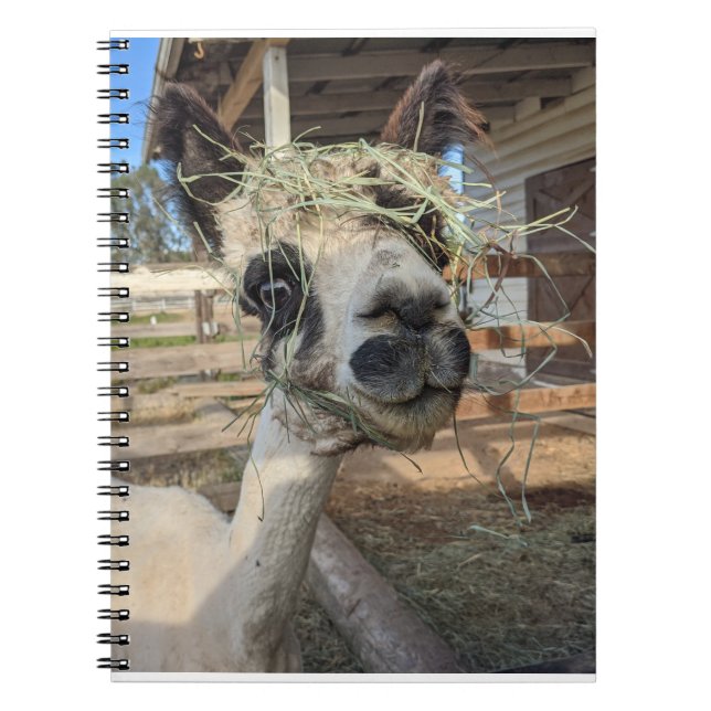 Funny Alpaca Notebook Notizblock (Vorderseite)