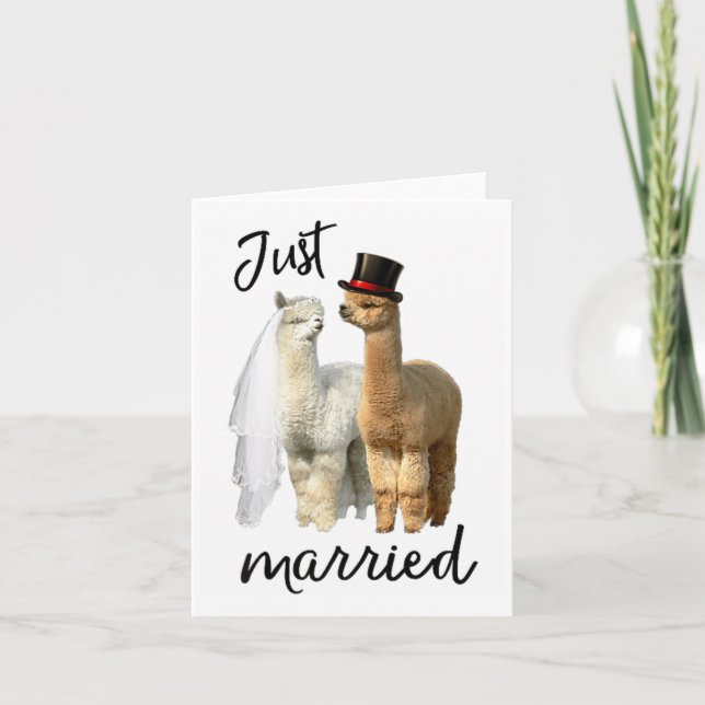 Funny Alpaca Shirt Braut und Groom Wedding _1 Karte (Vorderseite)