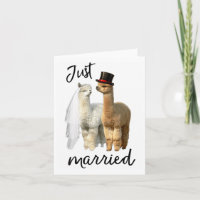 Funny Alpaca Shirt Braut und Groom Wedding _1