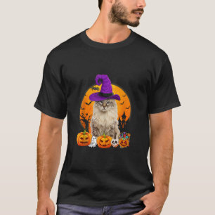 Funny American Curl Cat Halloween Hexenkürbis Ta T-Shirt