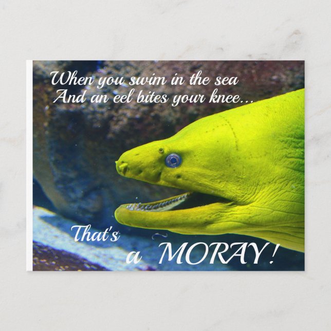 Funny Amore (Moray) Valentine Postkarte (Vorderseite)