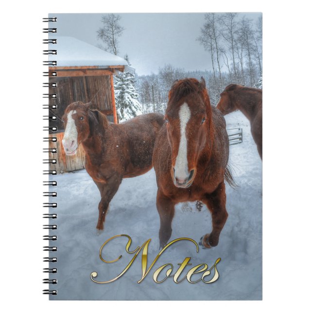 Funny Amour Stallion und Reluctant Mare Horses Notizblock (Vorderseite)