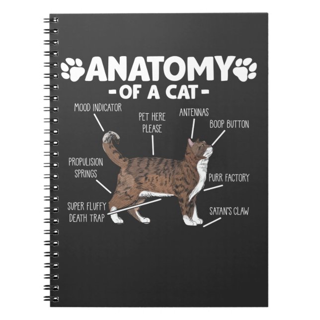 Funny Anatomy a Cat Niedlich Kitty Lover Pet Besit Notizblock (Vorderseite)