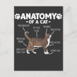 Funny Anatomy a Cat Niedlich Kitty Lover Pet Besit Postkarte<br><div class="desc">Perfektes Geschenk,  wenn Sie Katzen oder Kätzchen Liebe haben und sich selbst als Katzenliebhaber oder Katzenfrau bezeichnen. Humorvolles Katzengeschenk ist perfekt. Tierstudentische Freunde haben sich je über die Anatomie einer Katze gewundert.</div>