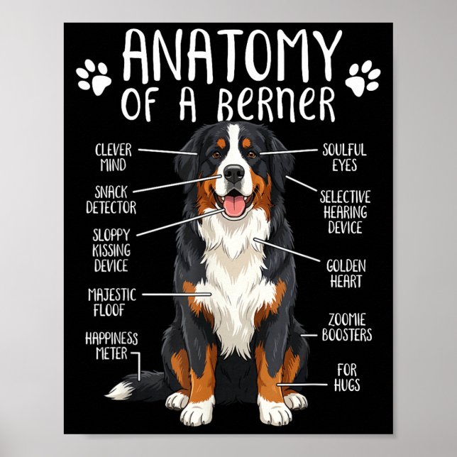 Funny Anatomy Bernese Mountain Dog Cute Berner Lov Poster (Vorne)
