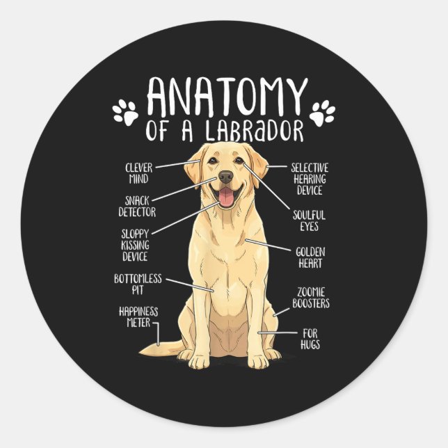 Funny Anatomy Labrador Retriever Yellow Lab Dog Ow Runder Aufkleber (Vorderseite)