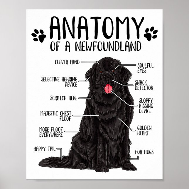 Funny Anatomy Newfoundland Dog Cute Newfie Lover  Poster (Vorne)