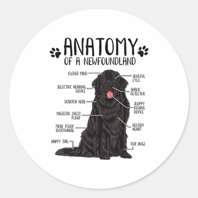 Funny Anatomy Newfoundland Dog Cute Newfie Lover  Runder Aufkleber (Vorderseite)