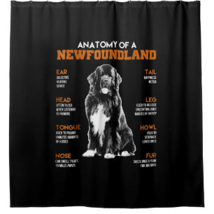 Funny Anatomy of a Newfundland Hunde Duschvorhang