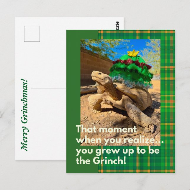 Funny and Festive Grinch Sulcata Tortoise Holiday Postkarte (Vorne/Hinten)