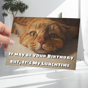 Funny and Humorous Cat Lovers Joke Happy Birthday Karte