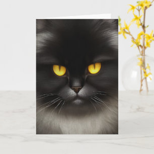 Funny Angry Fluffy Black Persian Kitty Cat Face Karte