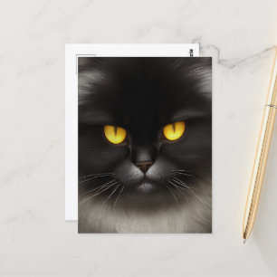 Funny Angry Fluffy Black Persian Kitty Cat Face Postkarte