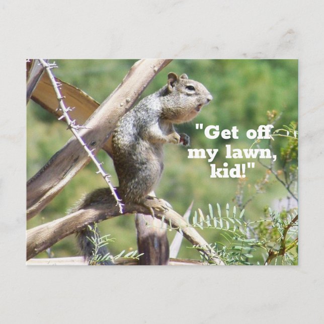 Funny Angry Squirrel Postcard Postkarte (Vorderseite)