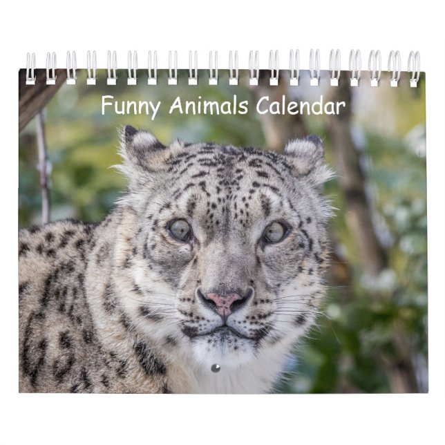 Funny Animal Calendar Kalender (Titelbild)
