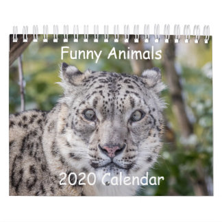 Funny Animal Kalender