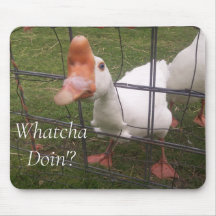 Funny Animal Pictures Maus Pad